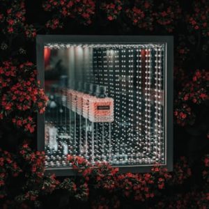 Dynamic Energy Body Lotion